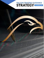 Falcon strategy.pdf